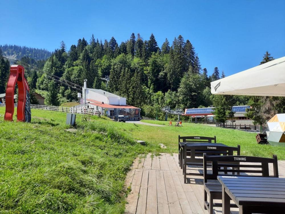 Club Rossignol Hotel โปยานาบราซอฟ ภายนอก รูปภาพ